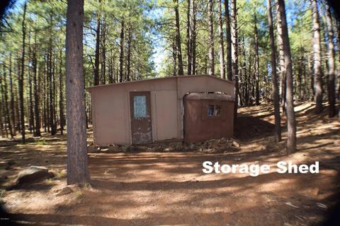 2925 Larson Loop, Forest Lakes, AZ 85931 photo 21