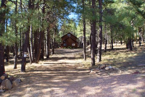 2925 Larson Loop, Forest Lakes, AZ 85931 photo 1