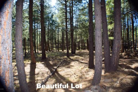 2925 Larson Loop, Forest Lakes, AZ 85931 photo 26