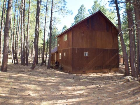 2925 Larson Loop, Forest Lakes, AZ 85931 photo 22