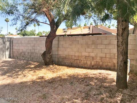 437 E Royal Palms Dr, Mesa, AZ 85203 photo 6