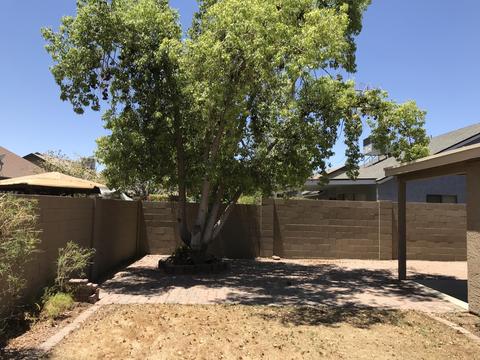 625 W Devon Ct, Gilbert, AZ 85233 photo 17