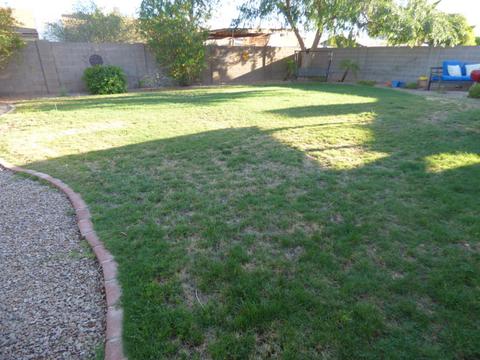 1027 E Glade Ave S, Mesa, AZ 85204 photo 21