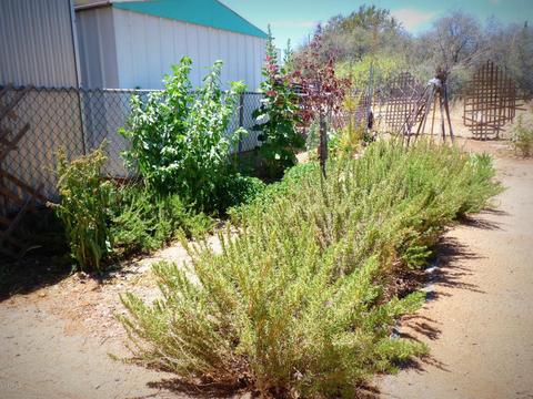 20810 E Cedar Dr, Mayer, AZ 86333 photo 30
