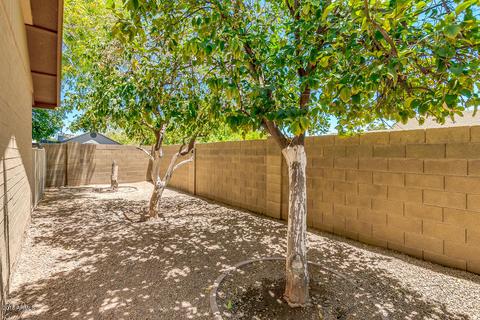 711 E Sandra Ter, Phoenix, AZ 85022 photo 41