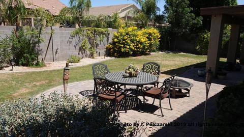 969 S Phelps Dr, Apache Junction, AZ 85120 photo 23