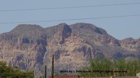 969 S Phelps Dr, Apache Junction, AZ 85120 photo 21