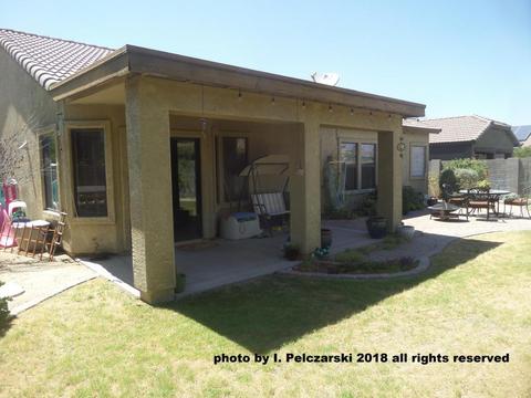 969 S Phelps Dr, Apache Junction, AZ 85120 photo 24