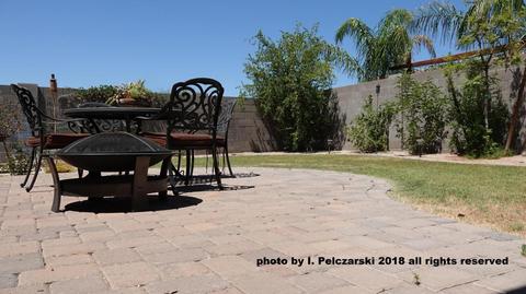 969 S Phelps Dr, Apache Junction, AZ 85120 photo 20