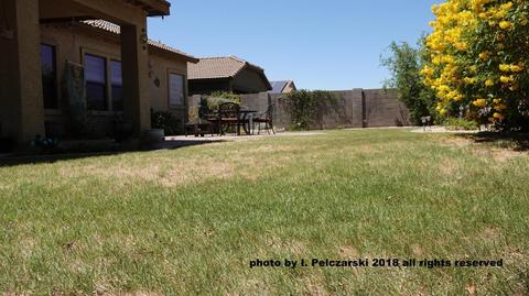 969 S Phelps Dr, Apache Junction, AZ 85120 photo 16