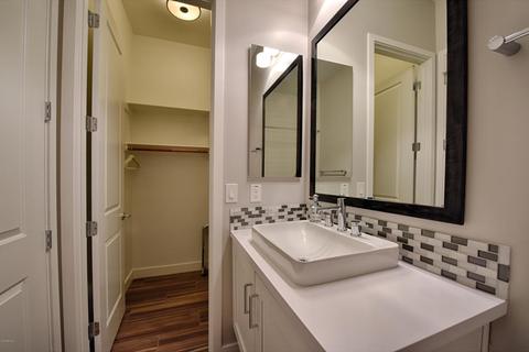 3126 E Cat Balue Dr, Phoenix, AZ 85050 photo 44