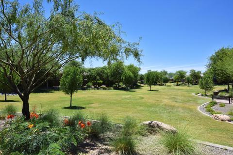 3126 E Cat Balue Dr, Phoenix, AZ 85050 photo 61