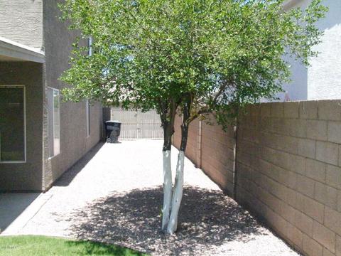 7235 E Navarro Ave, Mesa, AZ 85209 photo 6