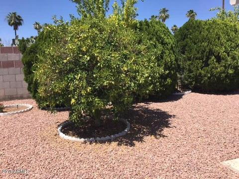 4924 E Calypso Ave, Mesa, AZ 85206 photo 5
