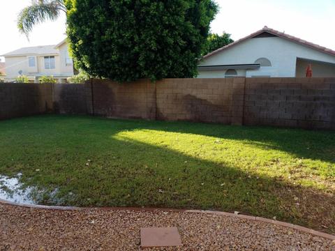 1454 E Sierra Madre Ave, Gilbert, AZ 85296 photo 18