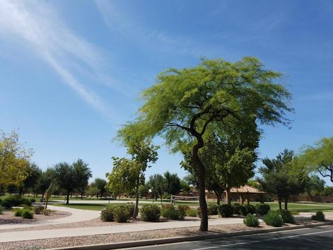 1454 E Sierra Madre Ave, Gilbert, AZ 85296 photo 20