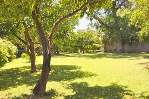 1045 W 2nd St, Mesa, AZ 85201 photo 28