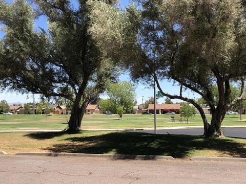 2255 E Forge Ave, Mesa, AZ 85204 photo 24