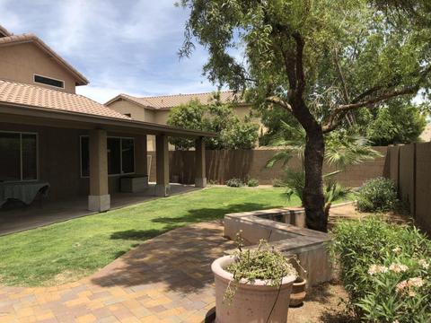 291 W Shannon St, Gilbert, AZ 85233 photo 49