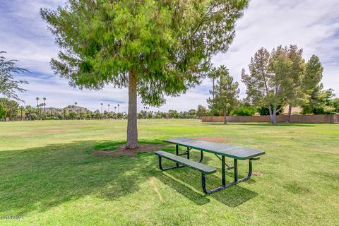 8402 N 15th Ave, Phoenix, AZ 85021 photo 30