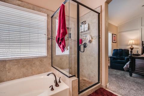 4906 E Brown Rd #21, Mesa, AZ 85205 photo 28