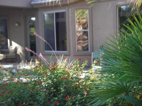 984 E Benrich Dr, Gilbert, AZ 85295 photo 43