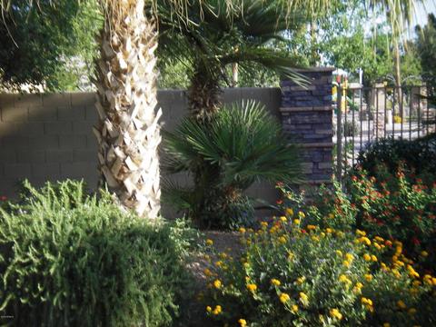 984 E Benrich Dr, Gilbert, AZ 85295 photo 37