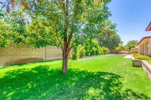 591 E Park Ave, Gilbert, AZ 85234 photo 48