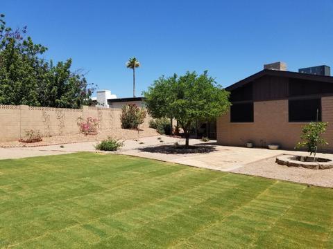 2843 E Joan D Arc Ave, Phoenix, AZ 85032 photo 35