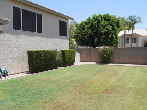 1449 Encinas Ave, Gilbert, AZ 85234 photo 3