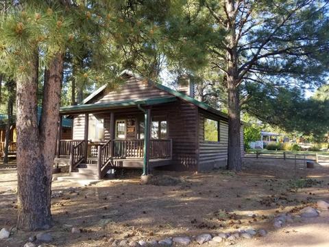 2704 High Pine Loop, Overgaard, AZ 85933 photo 3