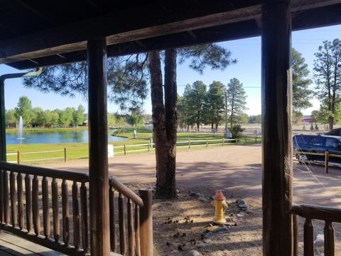 2704 High Pine Loop, Overgaard, AZ 85933 photo 13