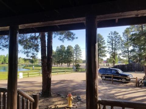 2704 High Pine Loop, Overgaard, AZ 85933 photo 14