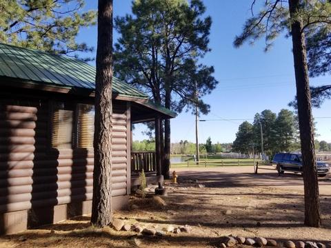 2704 High Pine Loop, Overgaard, AZ 85933 photo 9