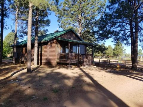 2704 High Pine Loop, Overgaard, AZ 85933 photo 5