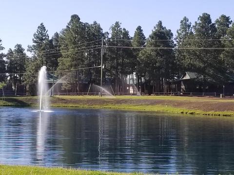 2704 High Pine Loop, Overgaard, AZ 85933 photo 38