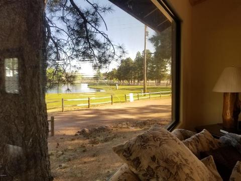 2704 High Pine Loop, Overgaard, AZ 85933 photo 25