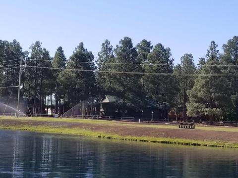 2704 High Pine Loop, Overgaard, AZ 85933 photo 40
