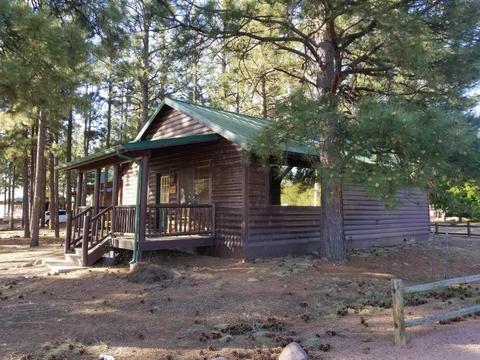 2704 High Pine Loop, Overgaard, AZ 85933 photo 6
