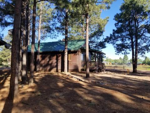 2704 High Pine Loop, Overgaard, AZ 85933 photo 4