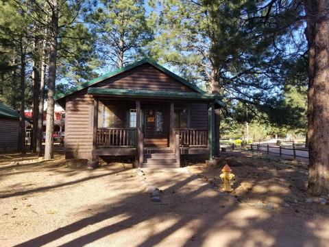 2704 High Pine Loop, Overgaard, AZ 85933 photo 1