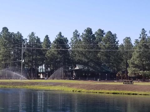 2704 High Pine Loop, Overgaard, AZ 85933 photo 39