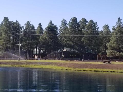 2704 High Pine Loop, Overgaard, AZ 85933 photo 41