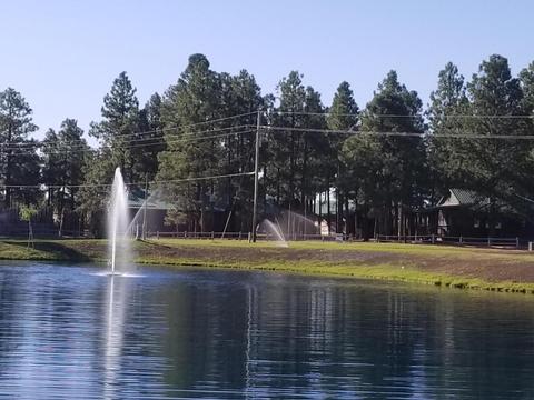 2704 High Pine Loop, Overgaard, AZ 85933 photo 37