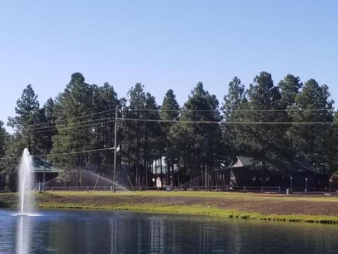 2704 High Pine Loop, Overgaard, AZ 85933 photo 42