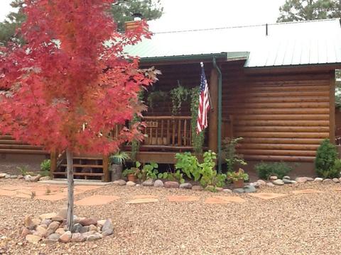 2658 Lodge Loop, Overgaard, AZ 85933 photo 47