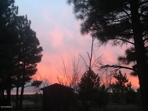 2658 Lodge Loop, Overgaard, AZ 85933 photo 52