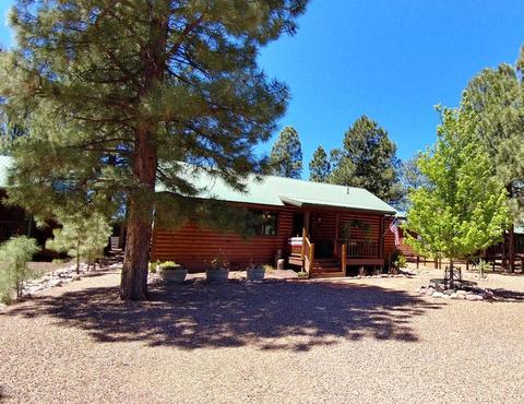 2658 Lodge Loop, Overgaard, AZ 85933 photo 3