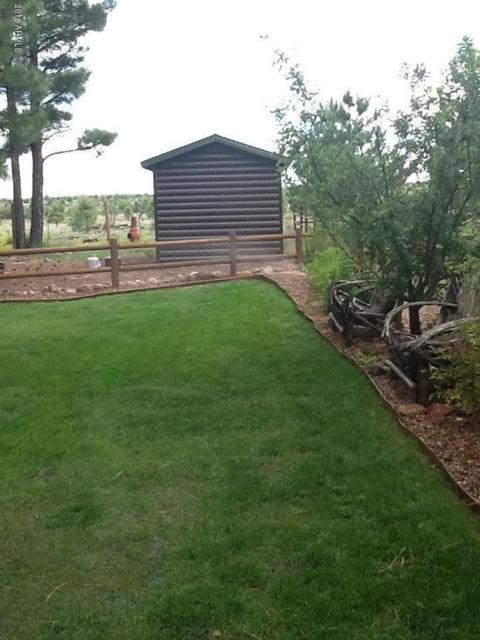 2658 Lodge Loop, Overgaard, AZ 85933 photo 45