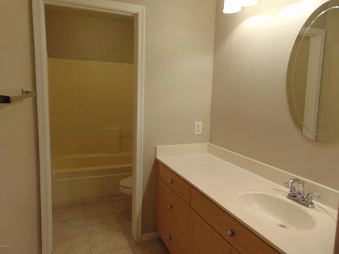 735 S Lanus Dr, Gilbert, AZ 85296 photo 14